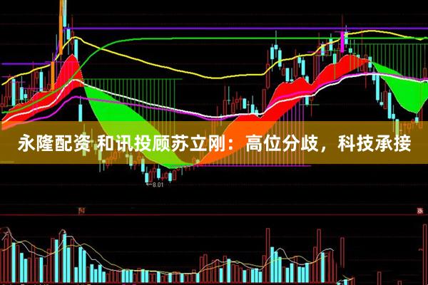 永隆配资 和讯投顾苏立刚：高位分歧，科技承接